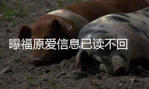不回产信息原爱已读 疑延离曝福婚处理财似拖