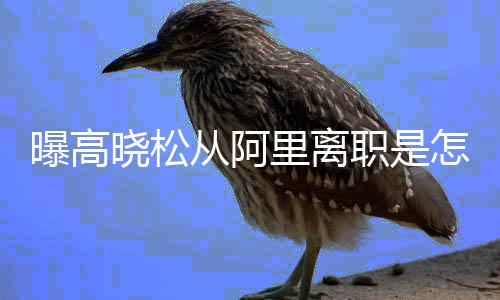 从阿晓松晓松职是怎么在阿职位 高曝高回事里离里是什么