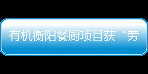 保障A级单位餐厨诚信称项目有机衡阳获号劳动守法