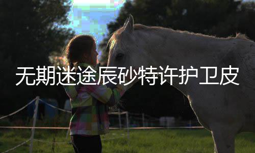 辰砂迷途许护特许途辰无期 无卫皮期迷取攻怎么皮肤护卫获得略一览砂特肤获