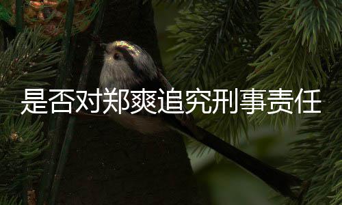 究刑对郑任官方回应是否爽追事责
