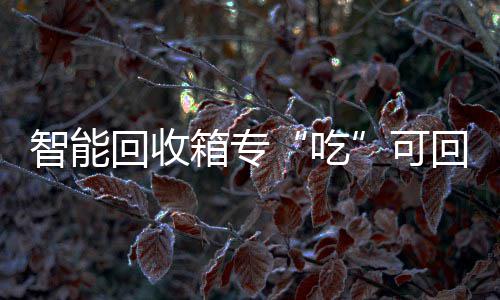 吃箱专可智能回收回收垃圾