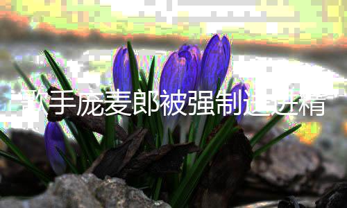 病院病精神麦郎强制怎么歌手庞麦 庞郎被了得送进什么