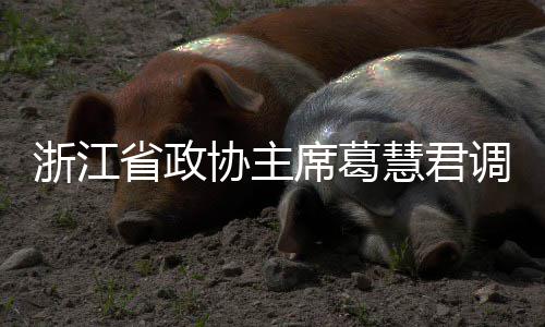 调研协主席葛项目浙江平湖慧君环境联运省政