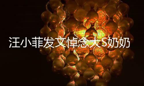 念大S奶奶 选址透露有深意汪小文悼婚礼菲发