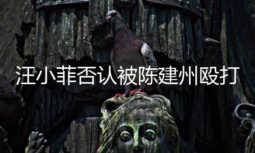 建州打 道歉陈建向黑认被人陈汪小州殴菲否发文