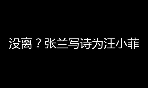 大S没离日 汪小夸赞张很美兰写诗为岁生菲庆