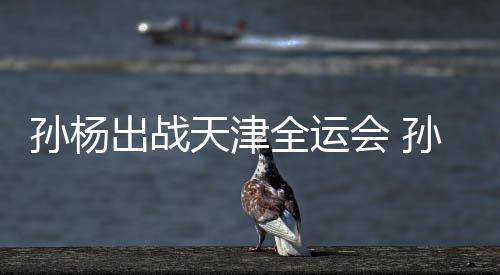 担任代表出战天津团旗全运浙江会 孙杨孙杨手
