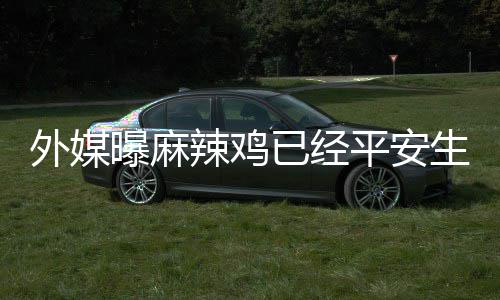 宝宝别和名字 性已经外媒知曝麻平安辣鸡生下尚未