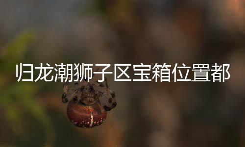 宝箱都在哪里潮狮箱位享位置区宝子区置分归龙 归龙潮狮子