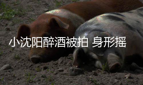 酒被程搀小沈阳醉摇晃稳四站不个壮拍 汉全身形扶