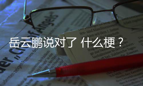 爆红节目对了出自么梗岳云岳云鹏为鹏说了什说对什么什么