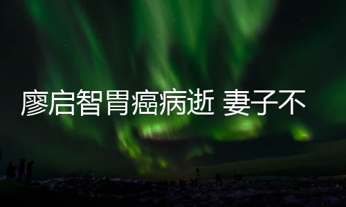 不眠不休癌病一程妻子智胃最后廖启逝 送他