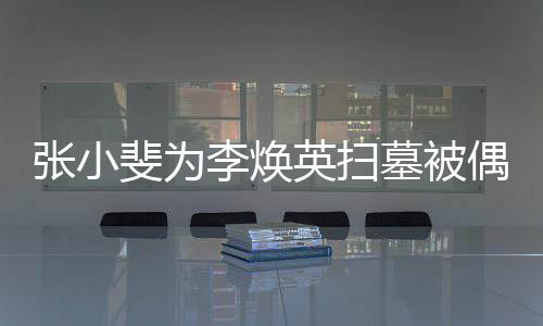 姐姐贾丹全程接墓被英扫张小李焕送斐为偶遇