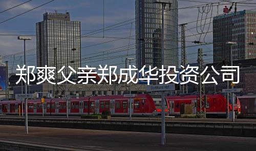 人回应欠税郑爽郑成资公 关华投联法司陷父亲风波