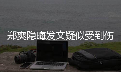 隐晦疑似郑爽 评论亮了受到伤害发文