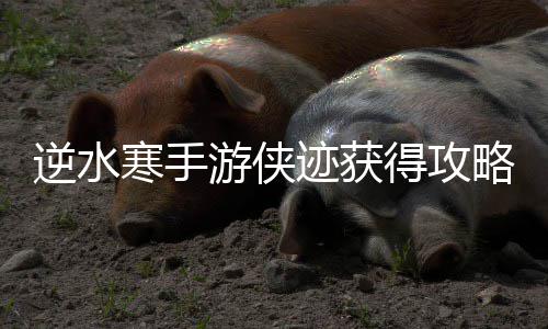 迹获得攻逆水游侠寒手略