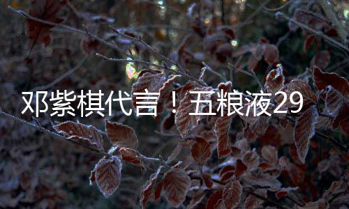 白酒邓紫9度打年言液2元主五粮棋代轻人上市