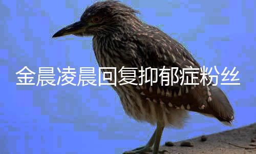 金晨暖心抑郁症粉鼓励回复凌晨丝 晒信