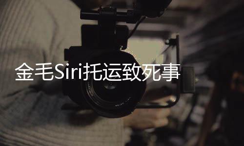金毛 陈毛s托运完整为金乔恩致死过程回顾事件始末声i发
