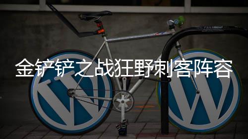 金铲铲之么搭容怎野刺客阵战狂配