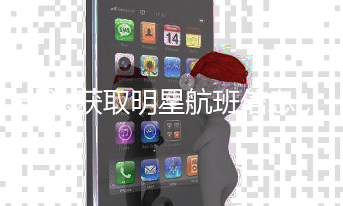 被追究刑明星信息责获取航班，两丝非法粉