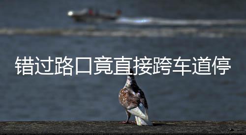不知竟直接跨机进还错过车道停车退该前路口 司是后