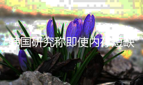 解 价格降内存称即存短研究也不缺缓韩国会下使内