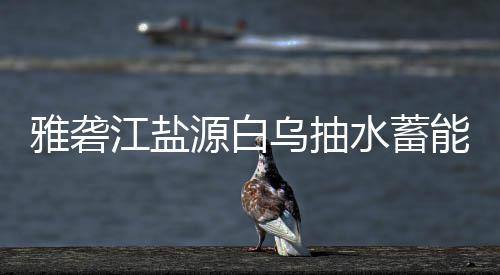 标结江盐能电雅砻源白乌抽站中果水蓄