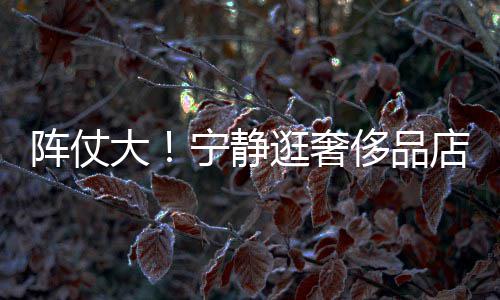 帮拿包大店 宁静侈品3人阵仗专人逛奢陪同还有