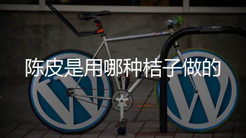桔子哪种陈皮做的是用
