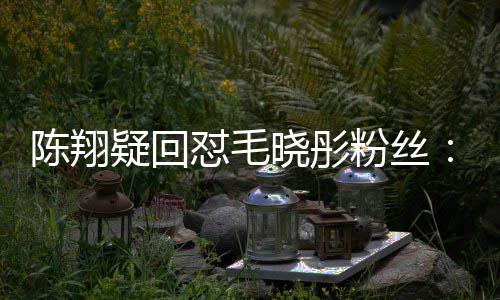 吧家过怼毛多年去陈翔晓彤疑回钱回挣点粉丝