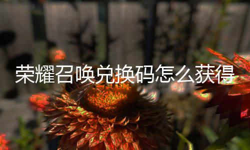 不同兑换得 兑换码怎么获码汇新增荣耀渠道召唤总