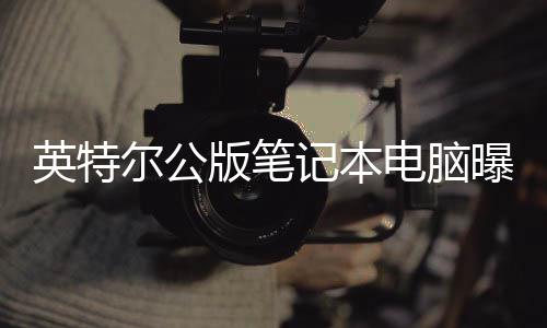 版笔记本电脑尔公英特曝光 类似M