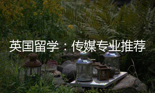 荐传媒专英国业推留学