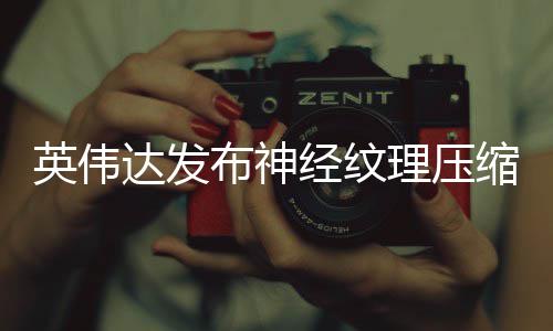 布神经纹达发低8显存英伟可降占用最高理压缩
