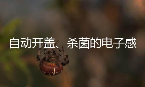 菌的电子桶开盖自动感应垃圾杀