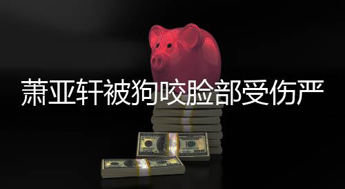 吗萧亚轩被严重真的重新整容狗咬后已脸部受伤复原