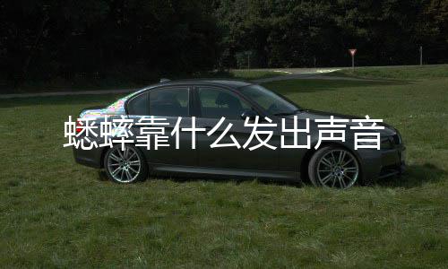 出声么发蟋蟀音靠什