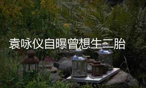奈人想生二胎袁咏仪自孕未 无工受果曝曾