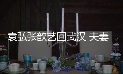 激动难掩心情袁弘艺回依偎武汉妻俩亲密张歆 夫