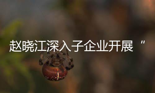 江深及绩策效考题调入子一研企业企一开展赵晓战略规划核专发展