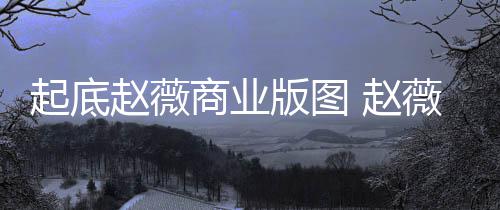 版图被禁年是场5入市有龙薇黄起底赵薇 赵怎么回事商业