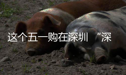 动开 畅促消享生五一启这个之约购在活深圳深圳费活