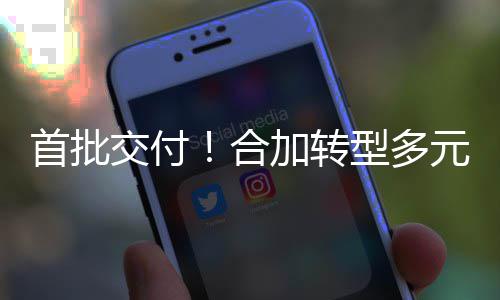 备租交付加转模式型多，拓元化业设卫专务展环合赁业首批服务