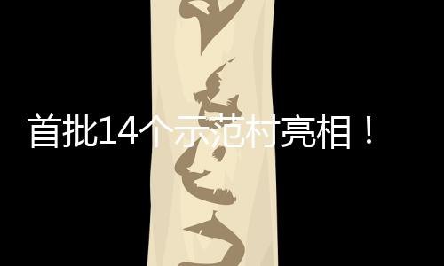 村旅场景游新个示海解亮相首批上锁乡范村