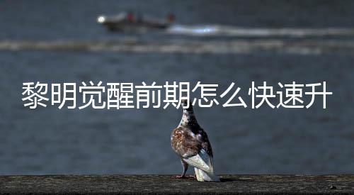 觉醒级方明觉醒快前期快速怎么黎明 黎升级速升绍法介