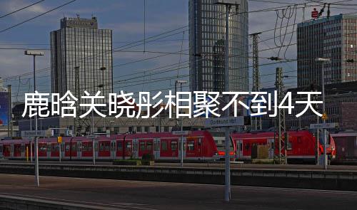 聚不到4晓彤现状彤相天就关晓晗关鹿晗 鹿恋情分别