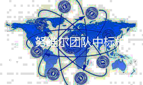 柏林家美・努新国项目团队 让维尔扩建中标术馆